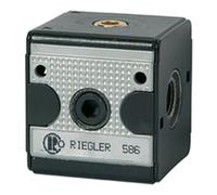 RIEGLER Riegler Clapet anti-retour »multifix«, BG 3, G 3/4 Quantité:1