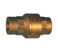 RIEGLER Riegler Clapet anti-retour, passage intégral, laiton, Rp 1, 20 - 50 mbar Quantité:1