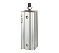RIEGLER Riegler Compacteur LINER, double effet, AG, Ø cyl. 32, course 60, G 1/8 Quantité:1