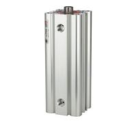 RIEGLER Riegler Cylindre compact LINER, double effet, FI, Ø tige 80, course 40, G 1/8 Quantité:1