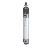 RIEGLER Riegler Cylindre rond, double effet, aimant, Ø piston 32, course 80, G 1/8 Quantité:1