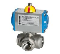RIEGLER Riegler ES-Kuha, actionneur pneumatique double effet, alésage T1, Rp 1/2 Quantité:1