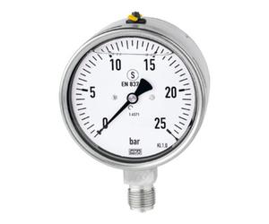RIEGLER Riegler Glyzerinmano, acier CrNi, sécurité, G 1/2 bas, 0-16,0 bar, Ø100 Quantité:1