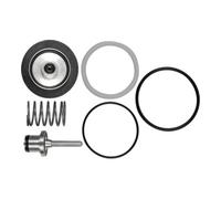 RIEGLER Riegler Jeu de pièces d'usure pour régulateur de pression/filtre inox, BG 4 Quantité:1