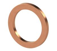 RIEGLER Riegler Joint torique en cuivre, pour filetage G 1/4, paquet de 100 pcs Quantité:100