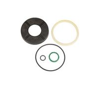 RIEGLER Riegler Kit de joints, pour vérin à course courte, Ø piston 12, joint PU Quantité:1
