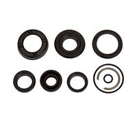 RIEGLER Riegler Kit de joints, pour vérin compact, Ø piston 63, joint PU Quantité:1