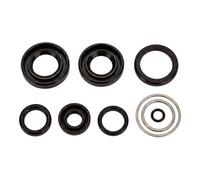 RIEGLER Riegler Kit de joints, pour vérin compact, Ø piston 63, joint PU Quantité:1