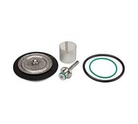 RIEGLER Riegler Kit de pièces d'usure avec membrane PTFE, G 1/4 Quantité:1