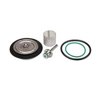 RIEGLER Riegler Kit de pièces d'usure avec membrane PTFE, max. 50 bar, G 1/4 Quantité:1