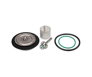 RIEGLER Riegler Kit de pièces d'usure avec membrane PTFE, max. 50 bar, G 1/4 Quantité:1