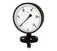 RIEGLER Riegler Manojet à lame, robuste, G 1/2 radial bas, 0-10,0 bar, Ø 100 Quantité:1