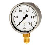 RIEGLER Riegler Manomètre à capsule, G 1/4 radial bas, -60 / 0 mbar, Ø 63, 5803 Quantité:1