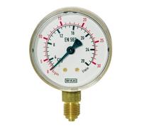 RIEGLER Riegler Manomètre Argon, G 1/4 radial bas, 0 - 30 l/min (10 bar), Ø 63 Quantité:1