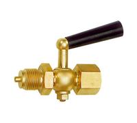 RIEGLER Riegler Manomètre robinet d'arrêt, manchon - tenon, MS brut, G 1/2, 60x25x10 Quantité:1