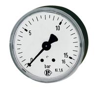 RIEGLER Riegler Manomètre standard, boîtier en tôle d’acier, G 1/4 arrière, 0-40,0 bar, Ø 50 Quantité:1