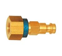RIEGLER Riegler Nipples distinctifs NW 5, laiton brut, G 1/4 IG, brun Quantité:1