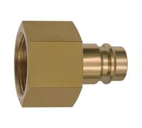 RIEGLER Riegler Nipples pour raccords NW 19, laiton brut, G 1 1/4 IG Quantité:1
