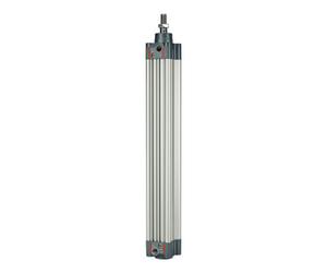 RIEGLER Riegler Normzylinder, double effet, aimant, Ø piston 80, course 125, G 3/8 Quantité:1
