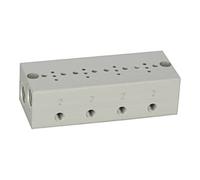 RIEGLER Riegler Plaque de base en série 4x, M5 pour mini électrovannes 15 mm Quantité:1