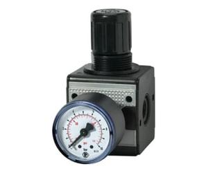 RIEGLER RIEGLER Pressostat 0,5 -10 bars 1/2 Pouces Quantité:1