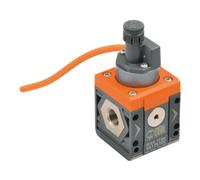 RIEGLER Riegler Pressostat »SYNTESI«, BG 2, G 1, câble 2 m Quantité:1