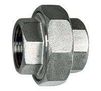 RIEGLER Riegler Raccord double filetage, G 1 1/2 i., SW1 76, SW2 56, ES 1.4408 Quantité:1