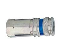 RIEGLER Riegler Raccord rapide NW10 acier/laiton zingué, robuste pour G 3/8 F Quantité:1
