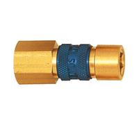 RIEGLER Riegler Raccord rapide unique NW 5, G 1/8 F, brun Quantité:1