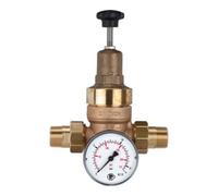 RIEGLER Riegler Réducteur de pression pour eau potable, sans DVGW, R 1 1/4, 1,5 - 12 bar Quantité:1