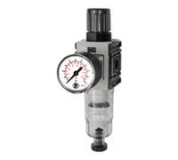 RIEGLER Riegler Régulateur de filtre »FUTURA-mini«, boîtier PC, manomètre std, HA, G 1/4, 0,5-10 Quantité:1
