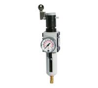 RIEGLER Riegler Régulateur de filtre »FUTURA«, PC, SK, Mano, BG 1, G 3/8, 0,5-8 bar, VA Quantité:1
