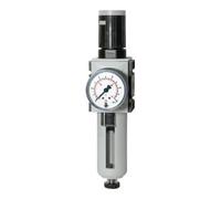 RIEGLER Riegler Régulateur de filtre »FUTURA«, PC, SK, Mano, BG 2, G 3/8, 0,5-8 bar, HA Quantité:1