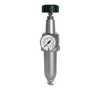 RIEGLER Riegler Régulateur de filtre »Standard«, avec récipient métallique, BG 2, G 3/8 Quantité:1