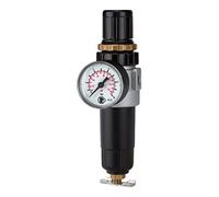 RIEGLER Riegler Régulateur de filtre »Standard-mini«, récipient métal avec manomètre, G 1/4 Quantité:1