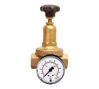 RIEGLER Riegler Régulateur de pression DRV 200, version standard, G 1, 1,5 - 8 bar Quantité:1