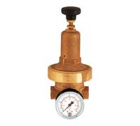 RIEGLER Riegler Régulateur de pression DRV 250, basse pression, G 1/2, 0,2 - 2 bar Quantité:1