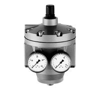 RIEGLER Riegler Régulateur de pression haute performance avec 2 manomètres, G 2, 0,1 - 3 bar Quantité:1