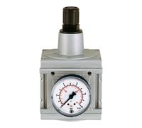 RIEGLER Riegler Régulateur de pression »multifix«, avec manomètre, BG 5, G 1, 0,2 - 6 bar Quantité:1