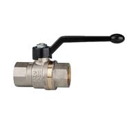 RIEGLER Riegler Robinet à boisseau sphérique filetage long, FI/FI, MS nickelé, Rp 2 Quantité:1