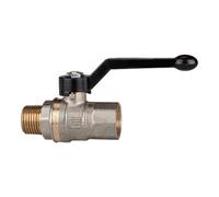 RIEGLER Riegler Robinet à tournant sphérique filetage long, FI/FM, MS nickelé, Rp/R 2 Quantité:1