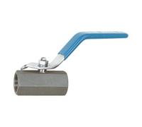 RIEGLER Riegler Robinet à tournant sphérique inox 1.4408, 1 pièce, petite série, G 1/4, DN 8 Quantité:1