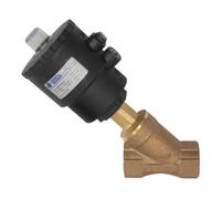 RIEGLER Riegler Robinet d'arrêt à siège incliné, sans raccord NAMUR, bronze, G 2, max. 10 bar Quantité:1