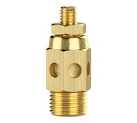RIEGLER Riegler Silencieux, bronze fritté, boîtier laiton, réglable, G1 Quantité:1