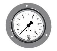 RIEGLER Riegler Standardmano., anneau frontal chromé, G 1/4 arrière, 0 - 4,0 bar, Ø 50 Quantité:1