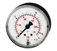 RIEGLER RIEGLER Standardmano G 1/4 centré à l'arrière 0 - 10,0 bar/145 psi Diamètre 63 mm Quantité:1