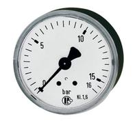RIEGLER Riegler Standardmano, KS-G., G 1/4 arrière centré, 0 - 60,0 bar, Ø 50 Quantité:1