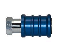RIEGLER Riegler Valve à glissière manuelle, G 1/8 F, SW 14, PN max. 10 bar Quantité:1