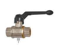 RIEGLER Riegler Vanne à bille de sécurité, non verrouillable, ventilation, MS chromé, Rp 2 Quantité:1