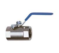 RIEGLER Riegler Vanne à boisseau sphérique en acier inoxydable, 1 pièce, passage intégral, G 1/4 Quantité:1